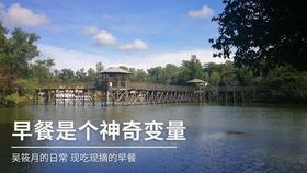 “说高密好、对高密亲、为高密干事·征文” | 用热爱续写临港新城新篇